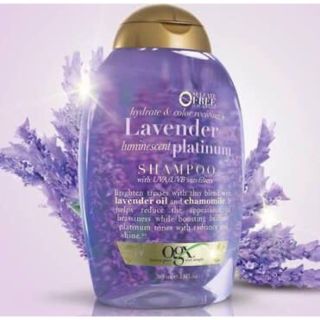 BỘ DẦU GỘI & XẢ OGX LAVENDER LUMINESCENT PLATINUM
