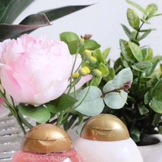 Dầu Gội & Dầu Xã ORCHID OIL ( OXG )