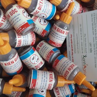 Thuốc diệt kiến gián mối tận ổ cam kết hiệu quả
