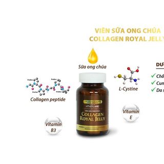 [HONEYLAND] - VIÊN SỮA ONG CHÚA COLLAGEN ROYAL JELLY (60v or 150v)