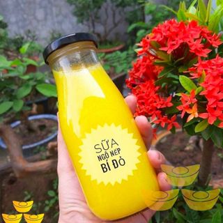 bình thủy tinh vuông 300ml giá sỉ