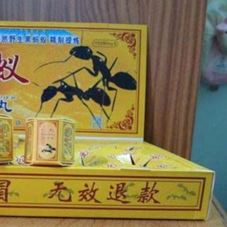 Kiến Đen Tây Tạng - bổ thận