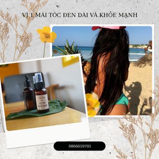 Xịt tóc thảo dược đông y gia truyền