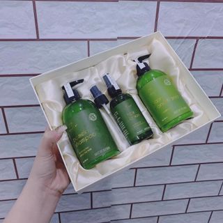 [Tinh Dầu Bưởi Thiên Nhiên VI JULLY ] Dưỡng Ẩm Cho Tóc - GIẢM RỤNG TÓC - Kích Thích Quá Trình Mọc Tóc