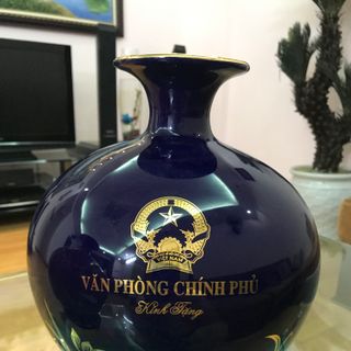 Bình Hút Lộc Văn Phòng Chính Phủ