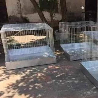 Lồng gà 80x80 không khay tôn