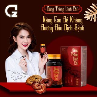 Đông trùng linh chi giá sỉ