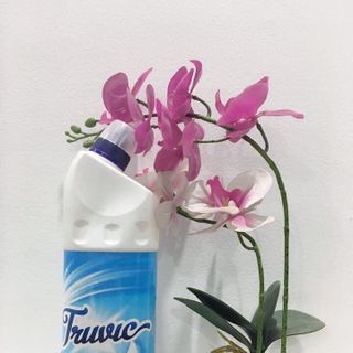 Nước Tẩy Toilet Truvic cao cấp