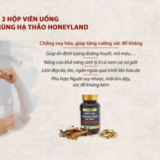 [HONEYLAND] - ĐÔNG TRÙNG HẠ THẢO SAFFRON 60 VIÊN