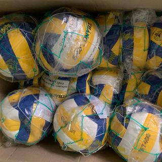 Bóng chuyền da Thăng Long VB7400