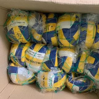 Bóng chuyền da Thăng Long VB7000 giá sỉ​, giá bán buôn