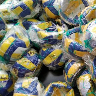 Bóng chuyền da Thăng Long VB7000 giá sỉ​, giá bán buôn