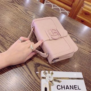Túi xách CG nhiều màu