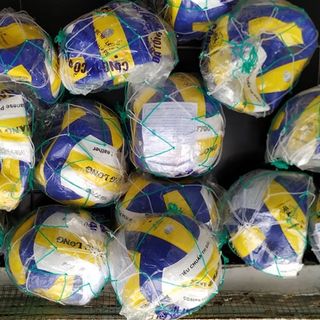 Bóng chuyền da Thăng Long VB7700 giá sỉ​, giá bán buôn