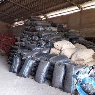 Hạt điều rang muối A+ Bình Phước hàng Việt Nam 100%, bọc 10 kg