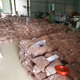 Hạt điều rang muối A+ Bình Phước hàng Việt Nam 100%, bọc 10 kg
