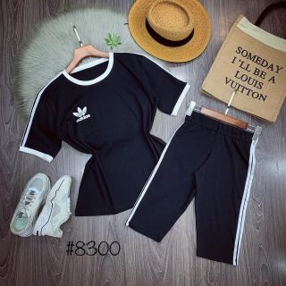 Set Bộ Siêu Đẹp THUN COTTON SBTCIWY65