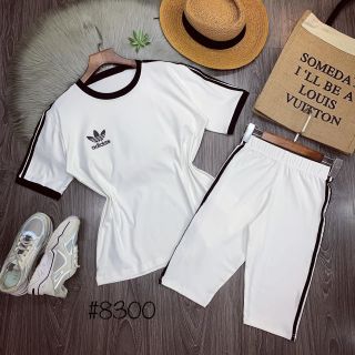 Set Bộ Siêu Đẹp THUN COTTON SBTCIWY65