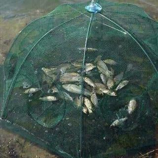 lưới bắt cá bát quái LBCBQMM