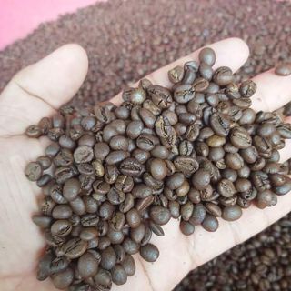 cà phê nguyên chất Đăk Lăk