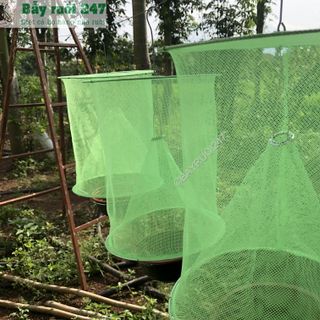 Lồng Bẫy Ruồi - Bẫy Ruồi 247