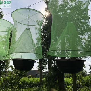 Lồng Bẫy Ruồi - Bẫy Ruồi 247