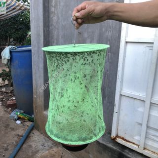 Lồng Bẫy Ruồi - Bẫy Ruồi 247
