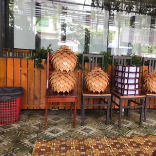 Hoa Bất Tử