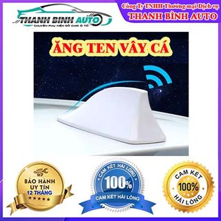 Ăng Ten Vây Cá Mập
