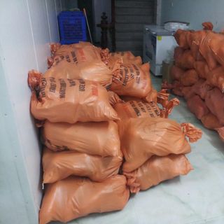 Củ Cải Hàn Quốc giá sỉ chỉ từ 18k