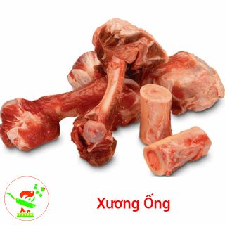 Xương Ống