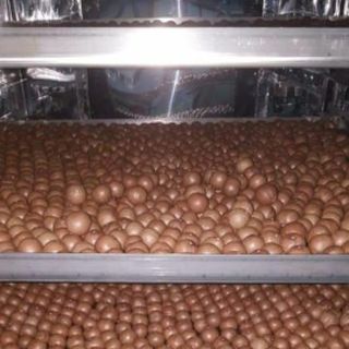 hạt mắc ca giá sỉ