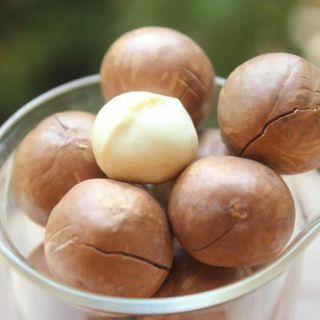hạt mắc ca giá sỉ