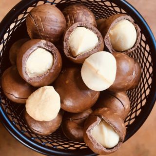 hạt mắc ca giá sỉ