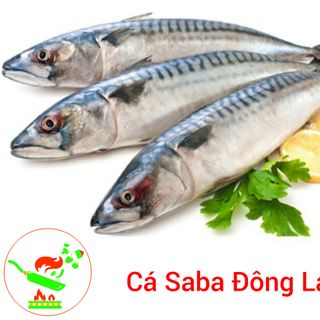 Cá Saba Đông Lạnh Loại Ngon
