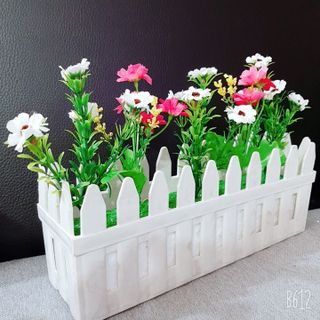 Hàng rào hoa cúc SH33 trang trí bàn làm việc, bậc cầu thang, nhà cửa SunHa Flower