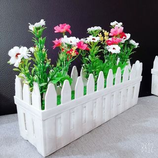 Hàng rào hoa cúc SH33 trang trí bàn làm việc, bậc cầu thang, nhà cửa SunHa Flower