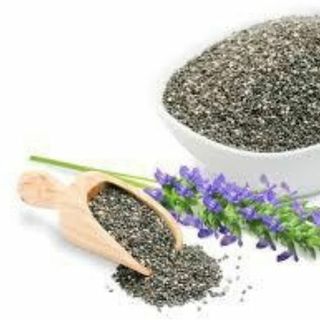 Hạt chia úc giá sỉ