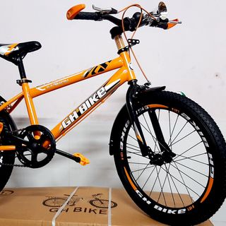 Xe đạp trẻ em nguyên thùng 20inch