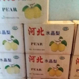 Bột Sắn Dây nguyên chất