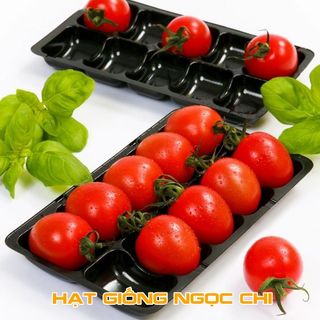Hạt Giống Cà Chua Lùn Đỏ - 30 Hạt