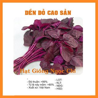 Hạt giống Rau Dền Đỏ - 20Gr
