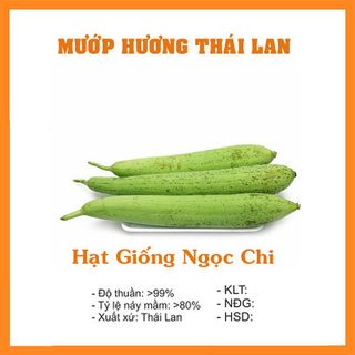 Hạt Giống Cây Mướp Hương - 10 Hạt
