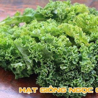 Hạt Giống Rau Cải Xoăn Xanh (Cải Kale) - 0.5Gr