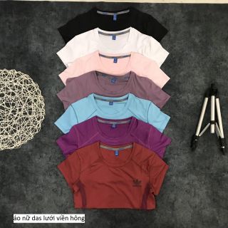 ÁO THUN NỮ LƯỚI VIỀN HÔNG