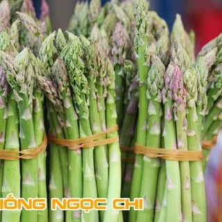 Hạt Giống Măng Tây Xanh - 20 Hạt