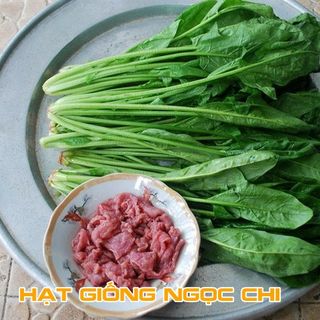 Hạt Giống Cải Bó Xôi (Rau Bina, Rau Chân Vịt) - 20Gr