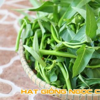 Hạt Giống Rau Muống Cao Sản - 50Gr/Gói