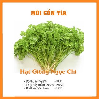 Hạt Giống Rau Mùi Cồn Tía (Rau Thơm) - 20Gr