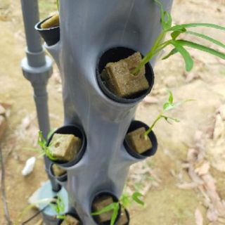 Giá thể trồng rau Rockwool Thủy canh, khí canh, aquaponic